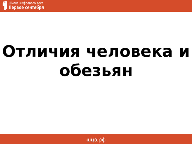 Отличия человека и обезьян 