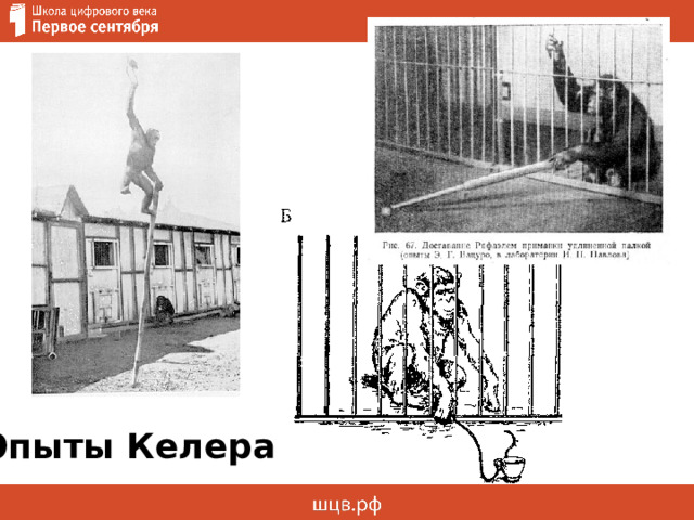 Опыты Келера 