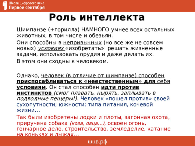 Роль интеллекта Шимпанзе (+горилла) НАМНОГО умнее всех остальных животных, в том числе и обезьян. Они способны в непривычных (но все же не совсем новых) условиях «изобретать» решать жизненные задачи, использовать орудия и даже делать их. В этом они сходны к человеком. Однако, человек (в отличие от шимпанзе) способен приспосабливаться к «неестественным» для себя условиям . Он стал способен идти против инстинктов (смог плавать, нырять, заплывать в подводные пещеры!).  Человек «пошел против» своей сухопутности; южности; типа питания, кочевой жизни… Так были изобретены лодки и плоты, загонная охота, приручена собака (коза, овца...), освоен огонь, гончарное дело, строительство, земледелие, катание на коньках и лыжах… 