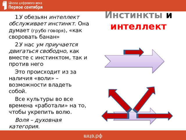 Инстинкты и интеллект У обезьян интеллект обслуживает инстинкт . Она думает (грубо говоря) , «как своровать банан» У нас ум приучается двигаться свободно , как вместе с инстинктом, так и против него Это происходит из за наличия «воли» – возможности владеть собой. Все культуры во все времена «работали» на то, чтобы укрепить волю. Воля – духовная категория. 