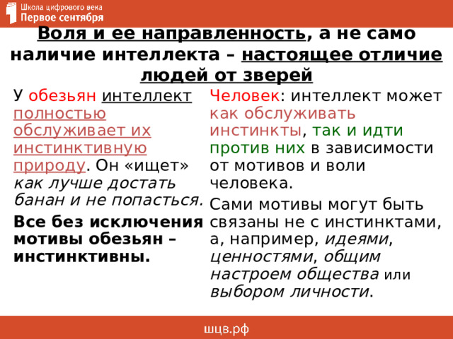 Воля и ее направленность , а не само наличие интеллекта – настоящее отличие людей от зверей У обезьян  интеллект полностью обслуживает их инстинктивную природу . Он «ищет» как лучше достать банан и не попасться. Все без исключения мотивы обезьян – инстинктивны. Человек : интеллект может как обслуживать инстинкты , так и идти против них в зависимости от мотивов и воли человека. Сами мотивы могут быть связаны не с инстинктами, а, например, идеями , ценностями , общим настроем общества  или выбором личности . 