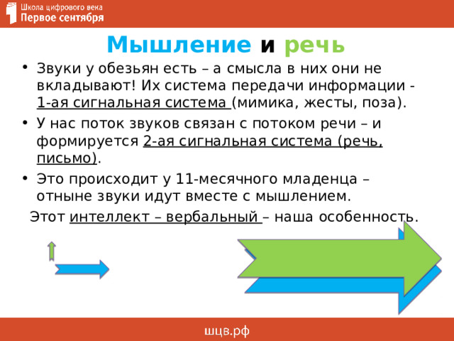 Мышление и речь Звуки у обезьян есть – а смысла в них они не вкладывают! Их система передачи информации - 1-ая сигнальная система (мимика, жесты, поза). У нас поток звуков связан с потоком речи – и формируется 2-ая сигнальная система (речь, письмо) . Это происходит у 11-месячного младенца – отныне звуки идут вместе с мышлением. Этот интеллект – вербальный – наша особенность. 