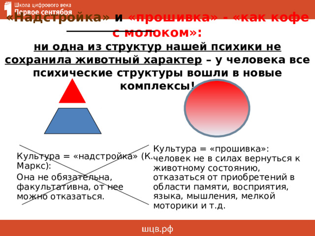 «Надстройка» и «прошивка» - «как кофе с молоком»:  ни одна из структур нашей психики не сохранила животный характер – у человека все психические структуры вошли в новые комплексы! Культура = «прошивка»: человек не в силах вернуться к животному состоянию, отказаться от приобретений в области памяти, восприятия, языка, мышления, мелкой моторики и т.д. Культура = «надстройка» (К. Маркс): Она не обязательна, факультативна, от нее можно отказаться. 