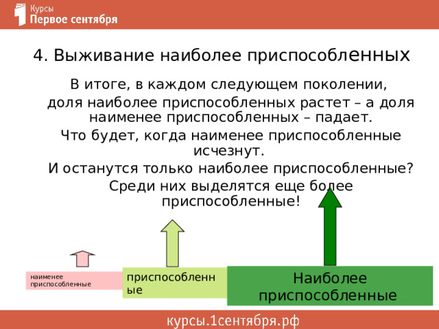 4. Выживание наиболее приспособл енных В итоге, в каждом следующем поколении, доля наиболее приспособленных растет – а доля наименее приспособленных – падает. Что будет, когда наименее приспособленные исчезнут. И останутся только наиболее приспособленные? Среди них выделятся еще более приспособленные! Наиболее приспособленные приспособленные наименее приспособленные 