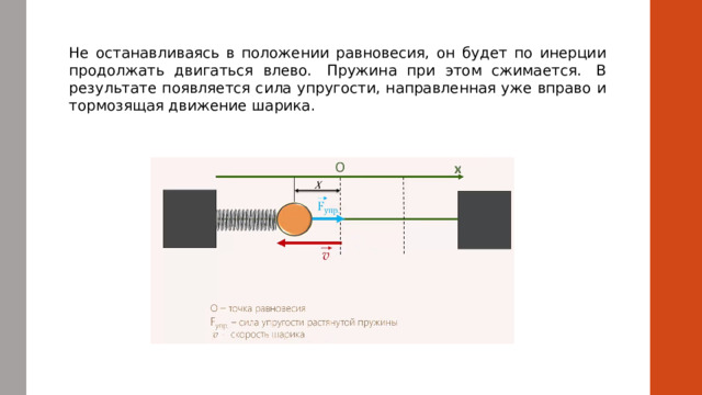 Не останавливаясь в положении равновесия, он будет по инерции продолжать двигаться влево.  Пружина при этом сжимается.  В результате появляется сила упругости, направленная уже вправо и тормозящая движение шарика.  