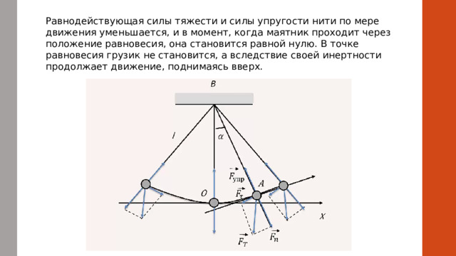 Равнодействующая силы тяжести и силы упругости нити по мере движения уменьшается, и в момент, когда маятник проходит через положение равновесия, она становится равной нулю. В точке равновесия грузик не становится, а вследствие своей инертности продолжает движение, поднимаясь вверх. 