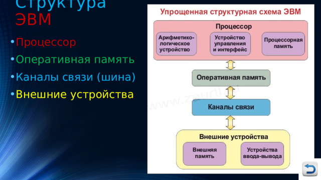 Структура  ЭВМ Процессор Оперативная память Каналы связи (шина) Внешние устройства 