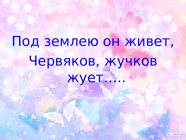 Под землею он живет, Червяков, жучков жует….. 