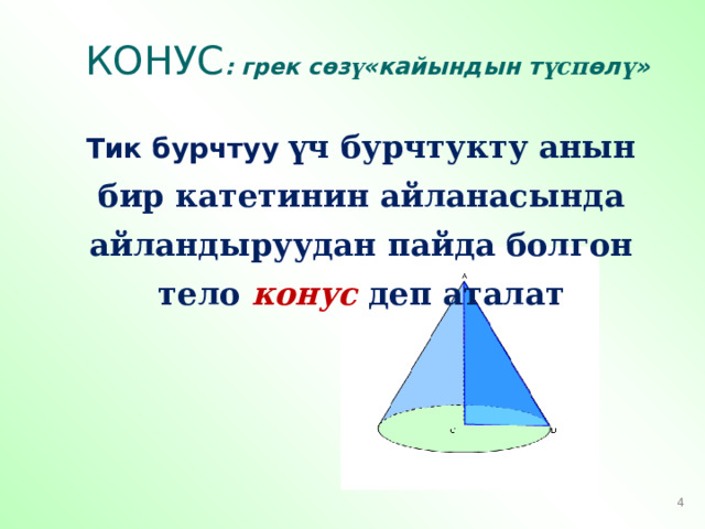 КОНУС : грек с өз ү «кайындын т үсп өл ү » Тик бурчтуу үч бурчтукту анын бир катетинин айланасында айландыруудан пайда болгон тело конус деп аталат 3 