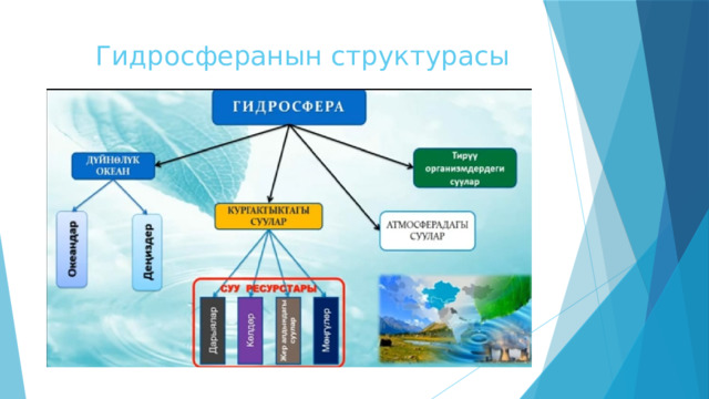  Гидросферанын структурасы 