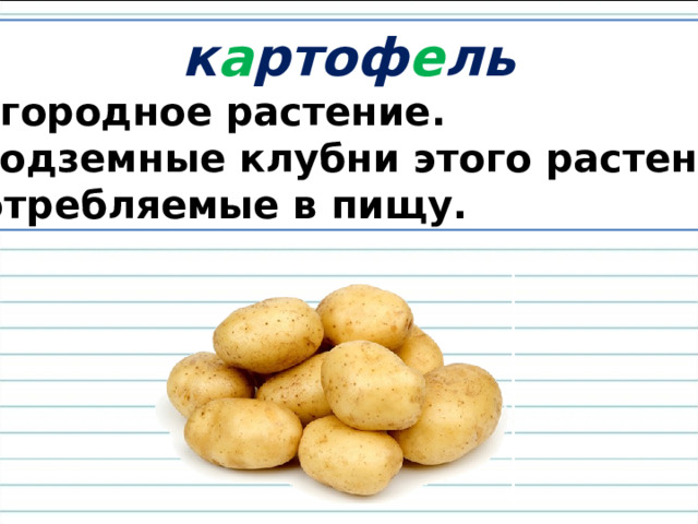  к а ртоф е ль Огородное растение. Подземные клубни этого растения, употребляемые в пищу. 