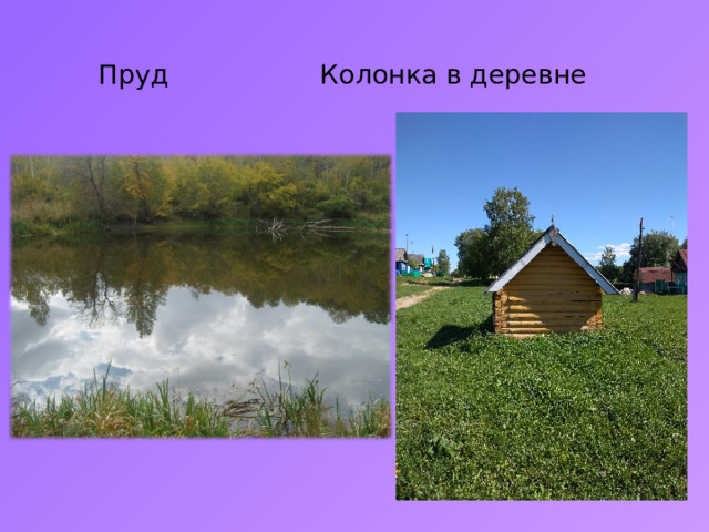    Пруд Колонка в деревне 