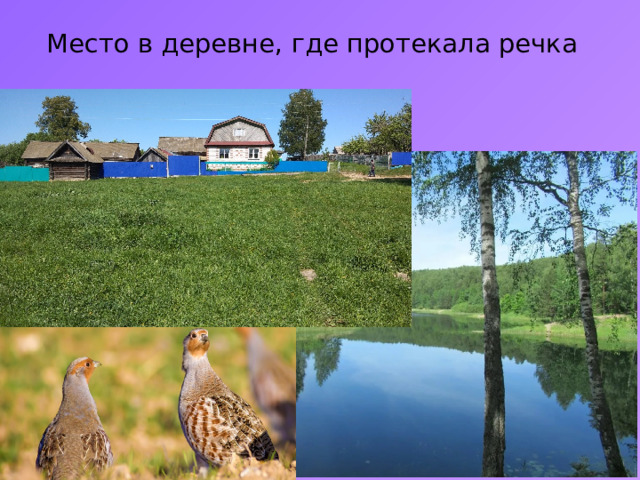 Место в деревне, где протекала речка 