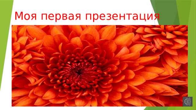 Моя первая презентация 