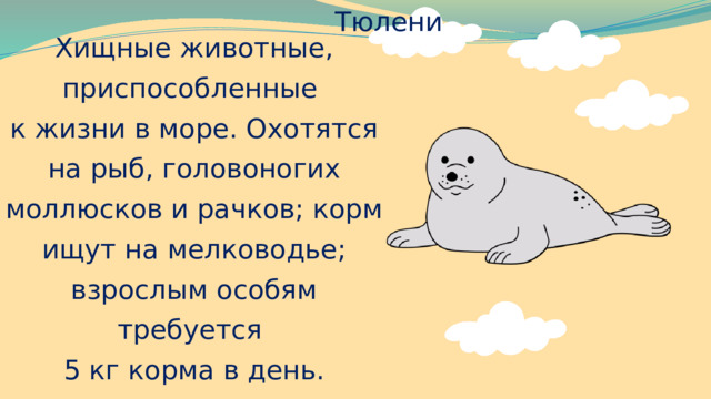 Тюлени Хищные животные, приспособленные к жизни в море. Охотятся на рыб, головоногих моллюсков и рачков; корм ищут на мелководье; взрослым особям требуется 5 кг корма в день. 