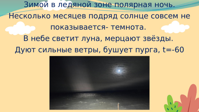 Зимой в ледяной зоне полярная ночь. Несколько месяцев подряд солнце совсем не показывается- темнота. В небе светит луна, мерцают звёзды. Дуют сильные ветры, бушует пурга, t=-60 