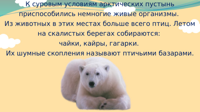 К суровым условиям арктических пустынь приспособились немногие живые организмы. Из животных в этих местах больше всего птиц. Летом на скалистых берегах собираются: чайки, кайры, гагарки. Их шумные скопления называют птичьими базарами. 
