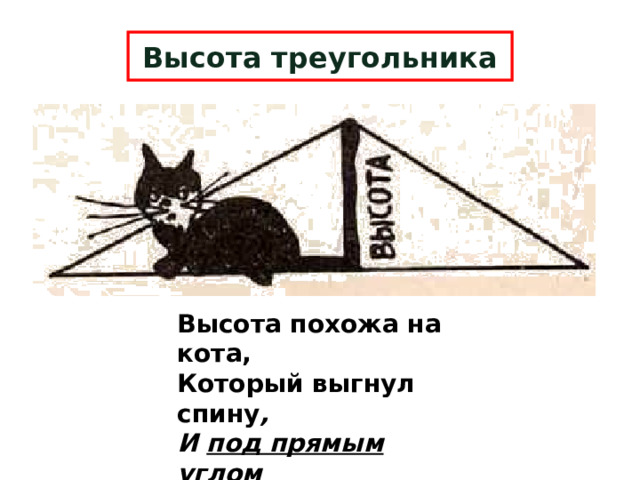 Высота треугольника Высота похожа на кота,  Который выгнул спину ,  И под прямым углом  Соединяет вершину  И сторону хвостом . 8 