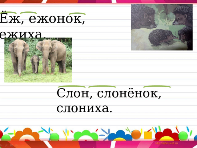 Ёж, ежонок, ежиха. Слон, слонёнок, слониха. 
