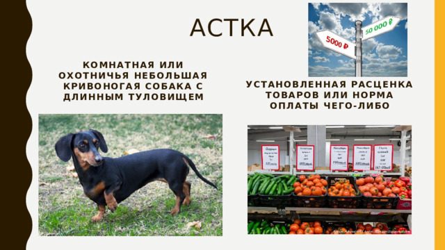 астка Комнатная или охотничья небольшая кривоногая собака с длинным туловищем Установленная расценка товаров или норма оплаты чего-либо 