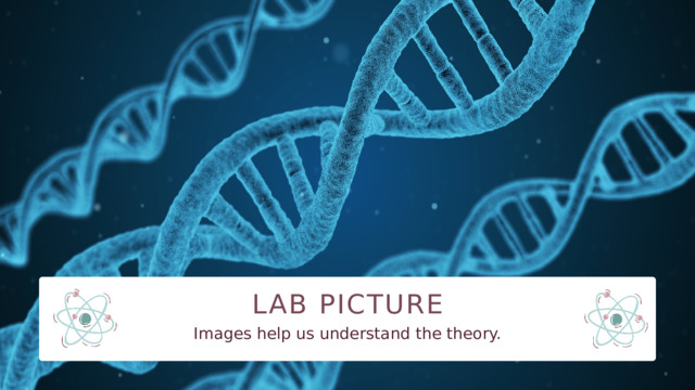 LAB PICTURE Images help us understand the theory. 