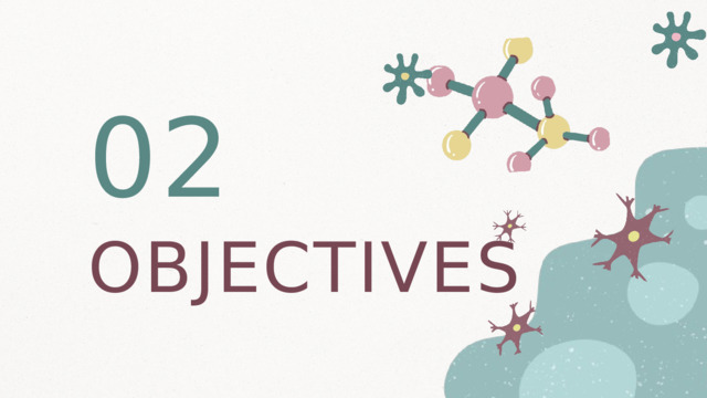 02 OBJECTIVES 