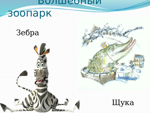  Волшебный зоопарк Зебра Щука 