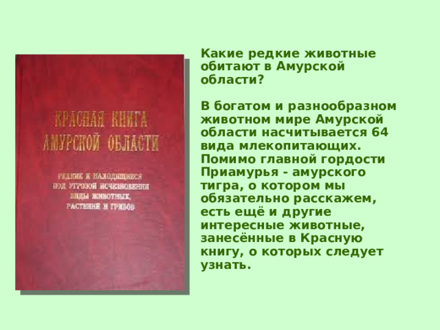 Какие редкие животные обитают в Амурской области?   В богатом и разнообразном животном мире Амурской области насчитывается 64 вида млекопитающих. Помимо главной гордости Приамурья - амурского тигра, о котором мы обязательно расскажем, есть ещё и другие интересные животные, занесённые в Красную книгу, о которых следует узнать. 