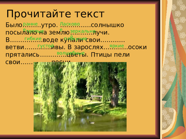 Прочитайте текст Было………утро. ……………солнышко посылало на землю…..……лучи. В…………….воде купали свои………… ветви………….ивы. В зарослях…………осоки прятались………….цветы. Птицы пели свои……………песни. раннее Ласковое теплые зеркальной гибкие плакучие густой яркие волшебные 