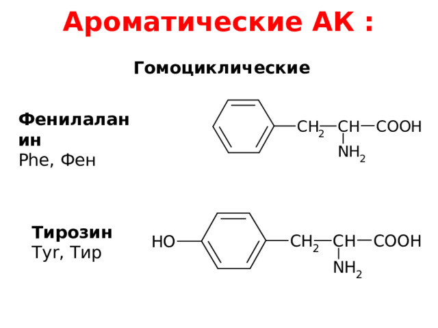 Ароматические АК :    Гомоциклические Фенилаланин Phe, Фен Тирозин Tyr, Тир 