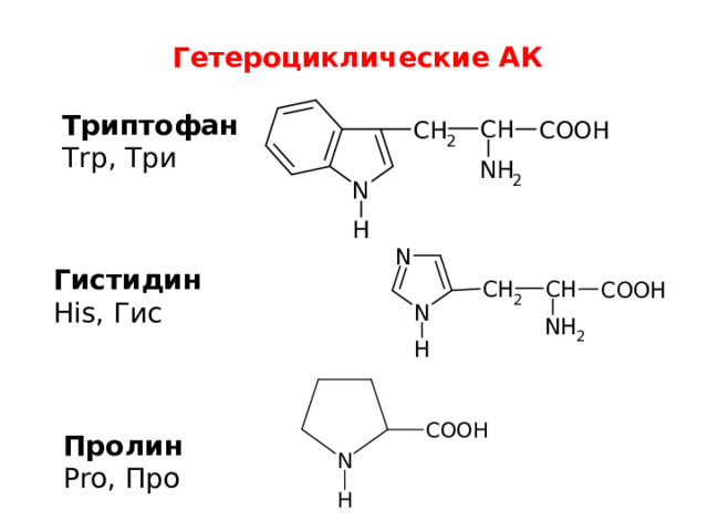 Гетероциклические АК Триптофан Trp, Три Гистидин His, Гис Пролин Pro, Про 