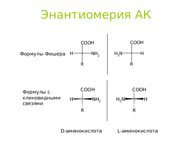 Энантиомерия АК Формулы Фишера Формулы с клиновидными связями D- аминокислота L- аминокислота 