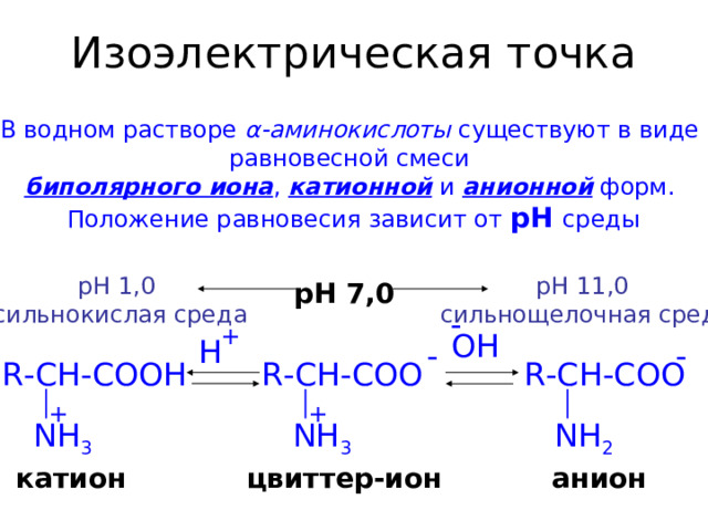 Изоэлектрическая точка В водном растворе α -аминокислоты существуют в виде равновесной смеси биполярного иона , катионной и анионной форм. Положение равновесия зависит от pH среды pH 11 ,0  сильнощелочная среда pH 1,0  сильнокислая среда pH  7,0 - + OH H - - R-CH-COOH R-CH-COO R-CH-COO + + NH 3 NH 2 NH 3 анион катион цвиттер-ион 
