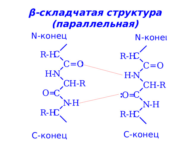 β -складчатая структура  (параллельная) 
