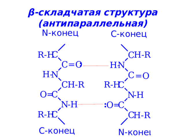 β -складчатая структура  (антипараллельная) 