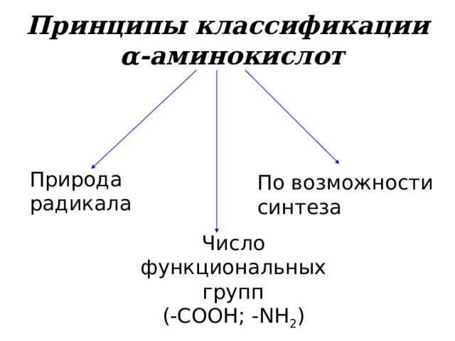 Принципы классификации  α -аминокислот Природа радикала По возможности синтеза Число функциональных групп (-СООН; - NH 2 ) 