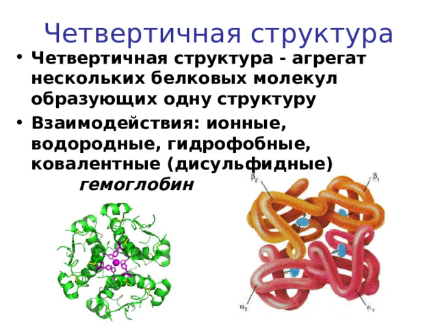 Четвертичная структура Четвертичная структура - агрегат нескольких белковых молекул образующих одну структуру Взаимодействия : ионные, водородные, гидрофобные, ковалентные (дисульфидные) гемоглобин  инсулин  