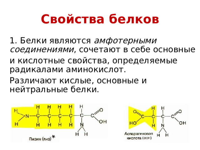 Свойства белков  1. Белки являются амфотерными  соединениями , сочетают в себе основные  и кислотные свойства, определяемые радикалами аминокислот.  Различают кислые, основные и нейтральные белки. 