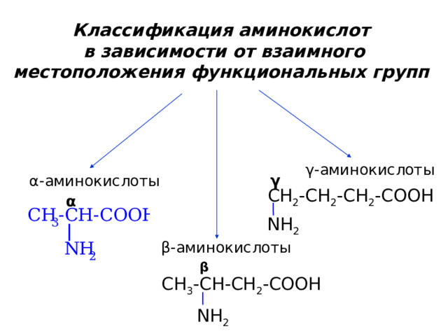Классификация аминокислот в зависимости от взаимного местоположения функциональных групп γ -аминокислоты γ α - аминокислоты CH 2 -CH 2 -CH 2 -COOH α NH 2 β -аминокислоты β CH 3 -CH-CH 2 -COOH NH 2 