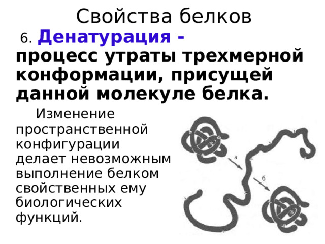 Свойства белков   6. Денатурация -  процесс утраты трехмерной конформации, присущей данной молекуле белка.   Изменение  пространственной  конфигурации  делает невозможным  выполнение белком  свойственных ему  биологических  функций. 