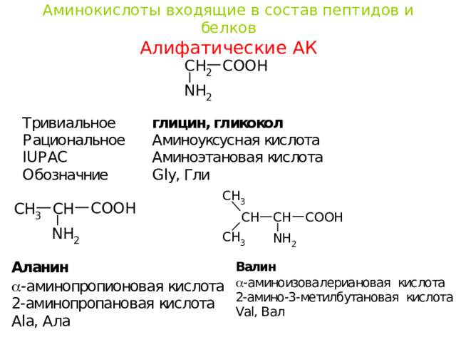 Аминокислоты входящие в состав пептидов и белков  Алифатические АК 