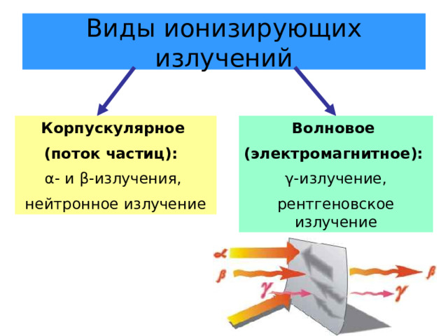 Виды ионизирующих излучений Корпускулярное Волновое (поток частиц):  (электромагнитное):  α- и β-излучения, γ-излучение, нейтронное излучение рентгеновское излучение 