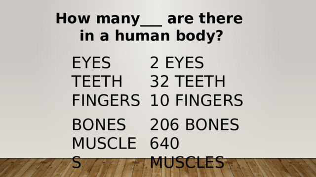 How many___ are there in a human body? Eyes 2 eyes Teeth 32 Teeth Fingers 10 Fingers Bones 206 Bones Muscles 640 Muscles  