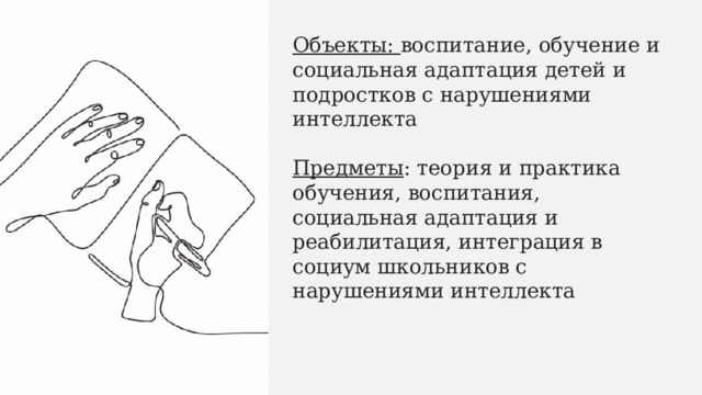 Объекты: воспитание, обучение и социальная адаптация детей и подростков с нарушениями интеллекта  Предметы : теория и практика обучения, воспитания, социальная адаптация и реабилитация, интеграция в социум школьников с нарушениями интеллекта 