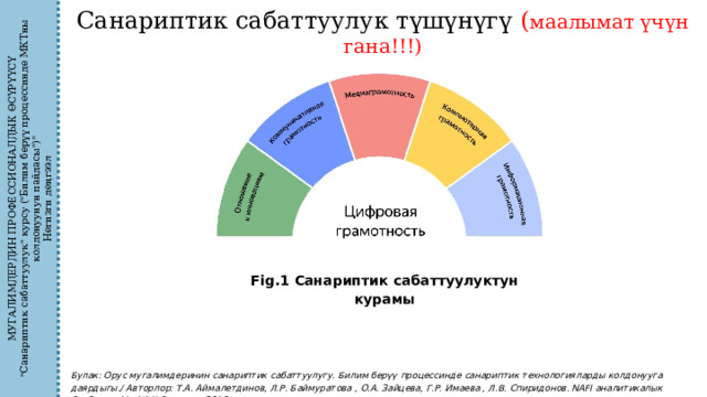 МУГАЛИМДЕРДИН ПРОФЕССИОНАЛДЫК ӨСҮРҮҮСҮ 