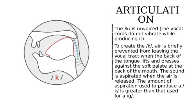 Articulation  The /k/ is unvoiced (the vocal cords do not vibrate while producing it). To create the /k/, air is briefly prevented from leaving the vocal tract when the back of the tongue lifts and presses against the soft palate at the back of the mouth. The sound is aspirated when the air is released. The amount of aspiration used to produce a /k/ is greater than that used for a /g/.   