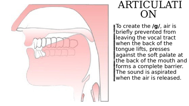 Articulation  To create the /g/ , air is briefly prevented from leaving the vocal tract when the back of the tongue lifts, presses against the soft palate at the back of the mouth and forms a complete barrier. The sound is aspirated when the air is released.  