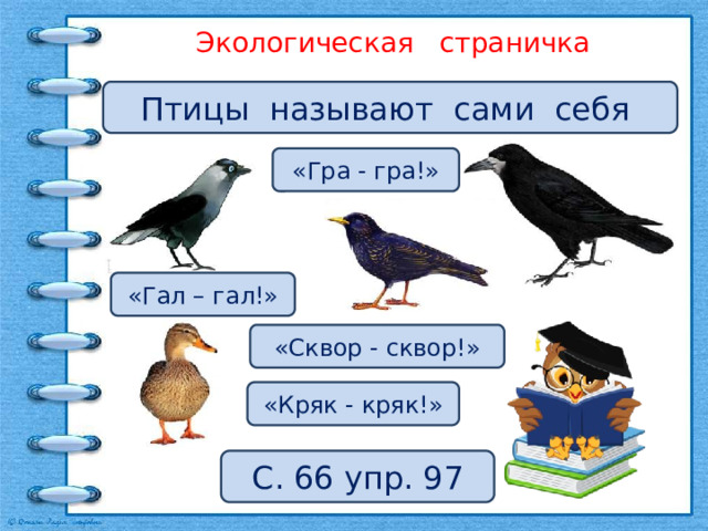 Экологическая страничка Птицы называют сами себя «Гра - гра!» «Гал – гал!» «Сквор - сквор!» «Кряк - кряк!» С. 66 упр. 97 