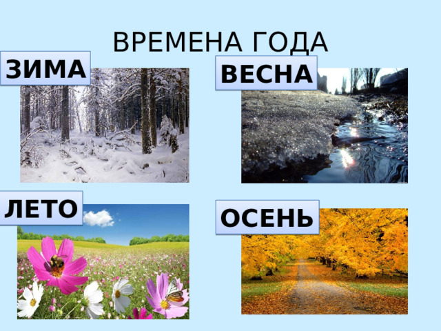 ВРЕМЕНА ГОДА ЗИМА ВЕСНА ЛЕТО ОСЕНЬ 