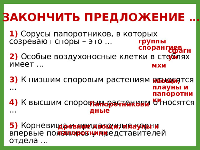 У папоротников споры созревают в